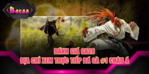 Đánh Giá GA28 - Địa Chỉ Xem Trực Tiếp Đá Gà #1 Châu Á