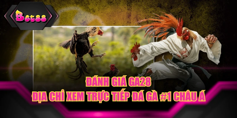 Đánh Giá GA28 - Địa Chỉ Xem Trực Tiếp Đá Gà #1 Châu Á