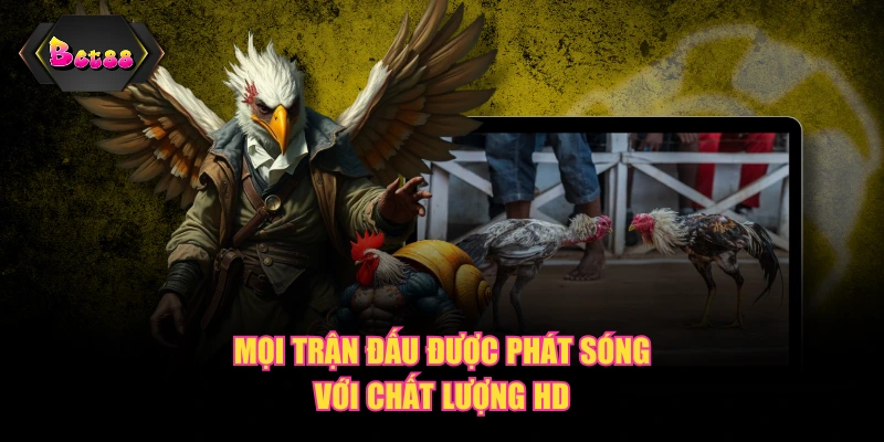 Mọi trận đấu được phát sóng với chất lượng HD