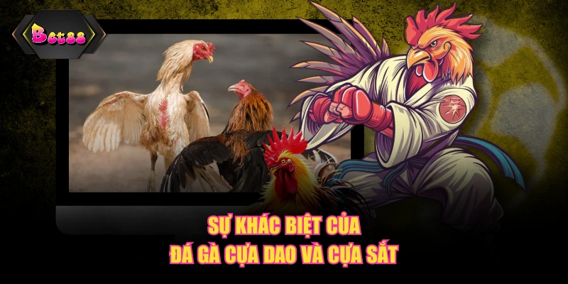 Sự khác biệt của Đá Gà cựa dao và cựa sắt